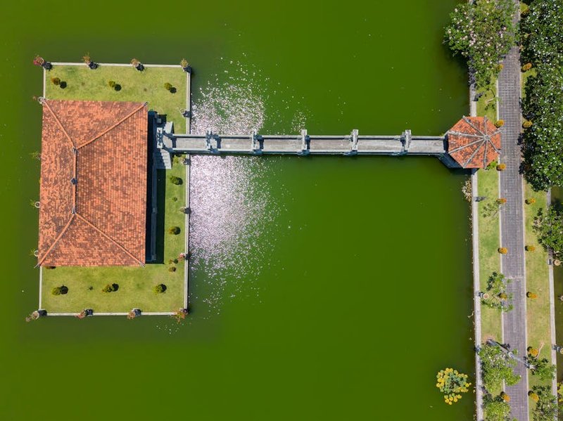 A close-up of a human hand holding a smartphone showing a thermal image of a tapir, set against a dark jungle background