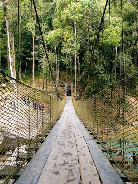 A dashboard screenshot showing a map of Taman Negara with live sensor points and a recent image of a Malayan tiger