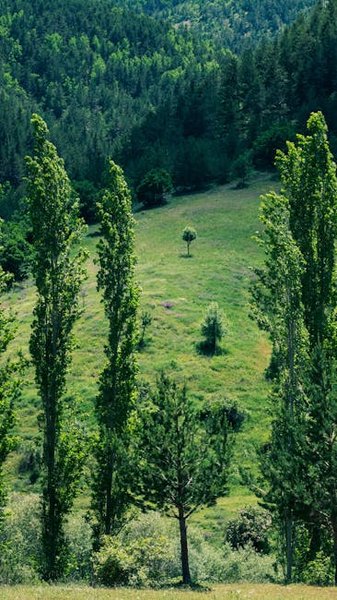 A local boatman gently navigating a narrow channel, representing the sustainable human connection to the park